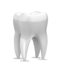 Fine vector tooth isolated on white background