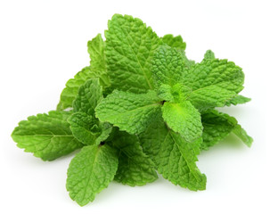 Fresh mint