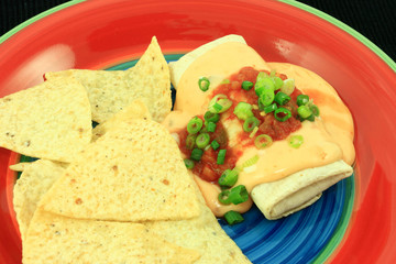 Crispy Burrito Smothered With Cheese Sauce And Salsa