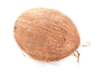 Kokosnuss isoliert auf weissem Hintegrund