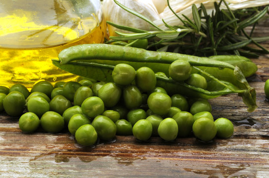 Pisum sativum