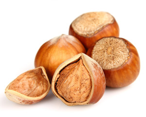 Dried filbert in closeup