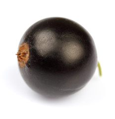 Currant in closeup