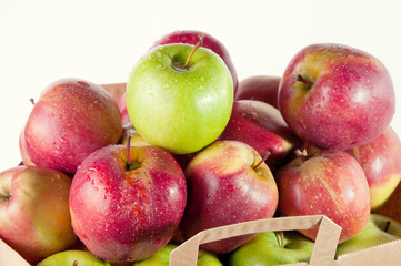 Grocery bag full of fresh apples, white background