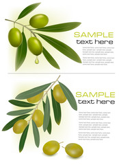 Two backgrounds with green and black olives.