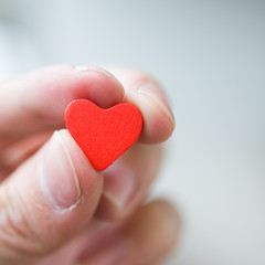 Fototapeta premium heart in the hands