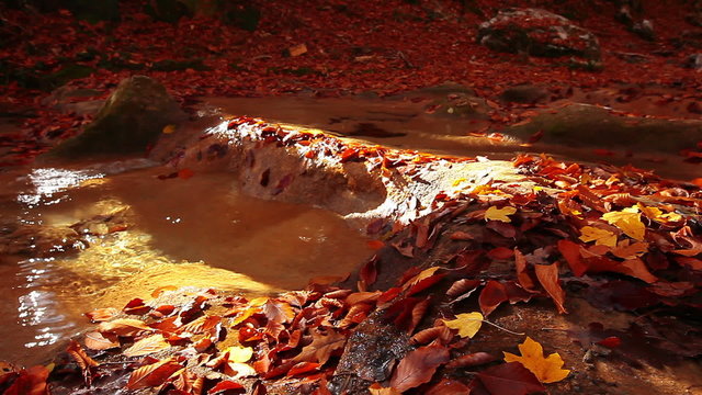 autumn mountain small river