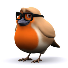 3d Robin looking studious in a pair of reading glasses