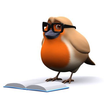 Robin Cartoon Images – Browse 9,304 Stock Photos, Vectors, and Video |  Adobe Stock