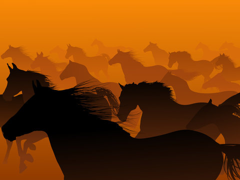 Vector :wild herd of horse in haze.