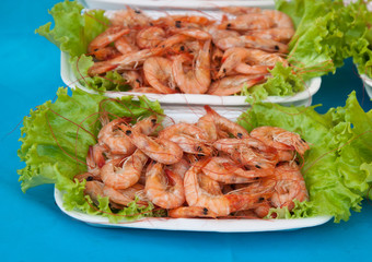 Grill of the shrimp .