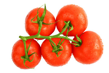 Tomatoes