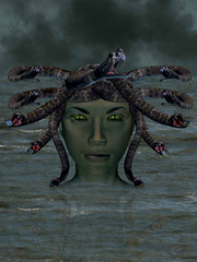The mythological Medusa.