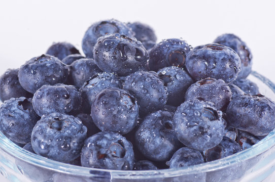 closeup of blueberries