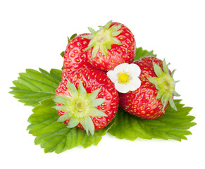 Four strawberry fruits with green leaves and flowers