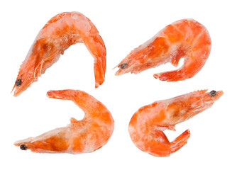 frozen shrimps