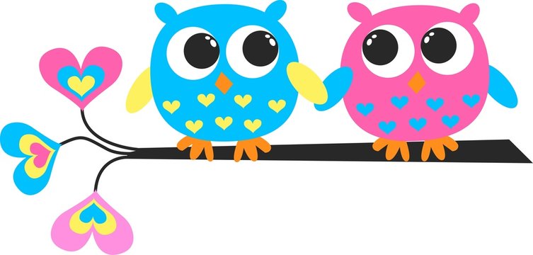 two colorful owls