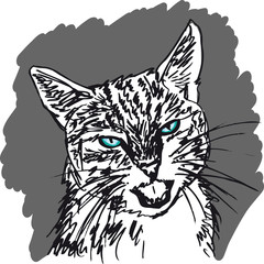 Sketch of curious little cat looking at something on the ground.