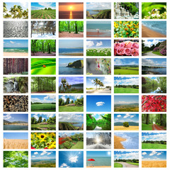 Collage of many nature photos