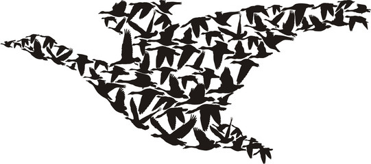 vector - goose made up of small