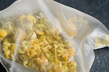 Camomilla
