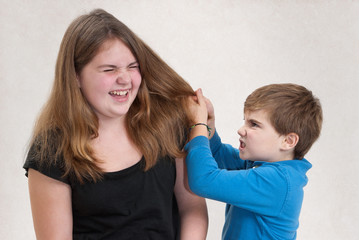Boy Pulling Sister's Hair