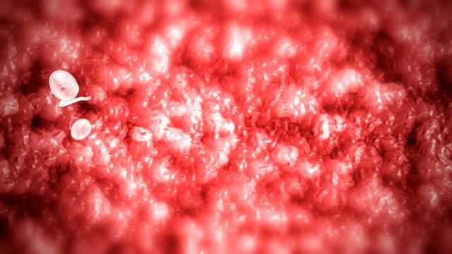 medical visualisation spermatozoo spermatozoi 3d