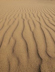 Sand pattern in vertical waves