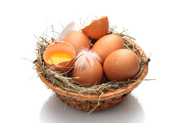 chicken eggs in a nest isolated on white