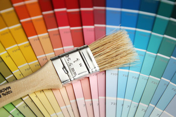 Color palette and brush