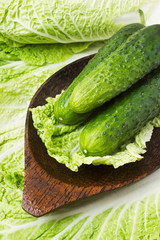 Fresh raw lettuce and herbs