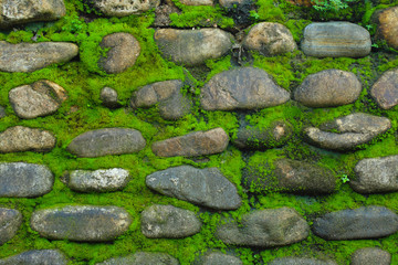 Old stone wall