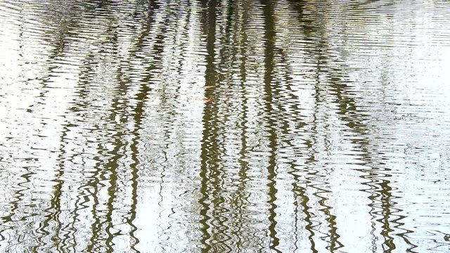 agua reflejos