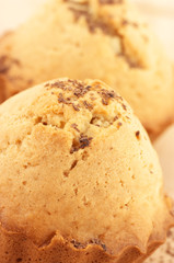 Two cupcakes close-up