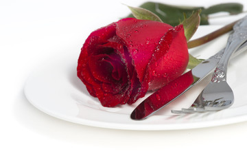 Red rose and cutlery on white plate