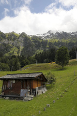 Fototapeta na wymiar Swiss chalet in village of Wengen