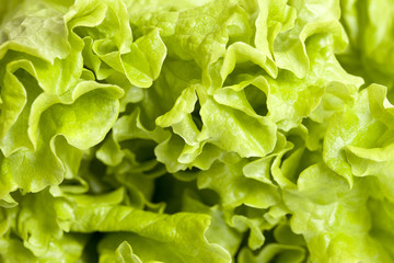 Lettuce salad.