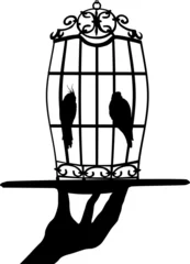 Papier Peint photo Lavable Oiseaux en cages cage à oiseaux en main humaine