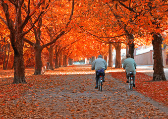 2 Radfahrer im Herbst