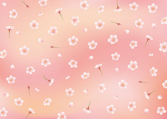 サクラ背景ピンク