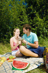 Naklejka na ściany i meble couple at a picnic