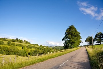 La petite route de campagne
