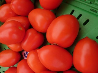 Fresh tomatoes in a box at the greengrocer