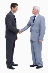 Young and mature businessmen shaking hands