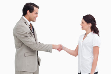 Fototapeta premium Side view of salespeople shaking hands