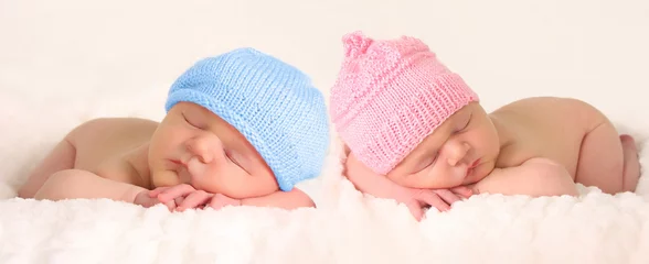 Fototapeten Newborn baby twins © Barbara Helgason