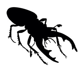 Vector silhouette of rhinoceros beetle © vadimmmus
