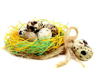 Obraz premium Colourful easter eggs in the nest.