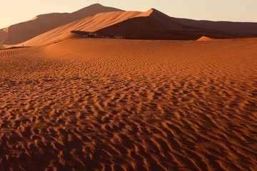 Rolgordijnen Morning desert landscape © peterhulla