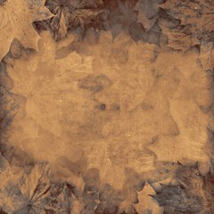 Old leaves sepia vintage autumn background